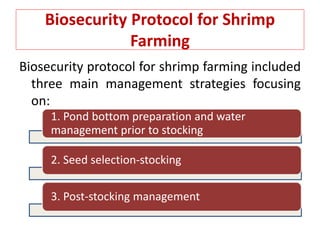 Biosecurity Protocol for Shrimp
Farming
Biosecurity protocol for shrimp farming included
three main management strategies focusing
on:
1. Pond bottom preparation and water
management prior to stocking
2. Seed selection-stocking
3. Post-stocking management
 