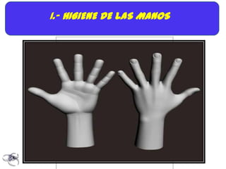 1.- HIGIENE DE LAS MANOS
 