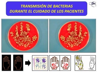 TRANSMISIÓN DE BACTERIAS
DURANTE EL CUIDADO DE LOS PACIENTES
 