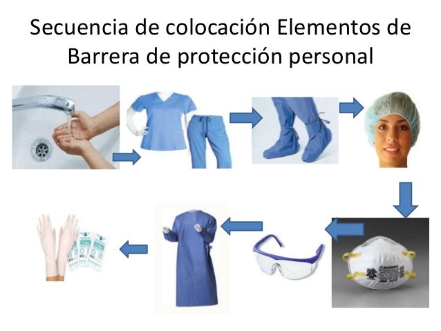 Bioseg 2016
