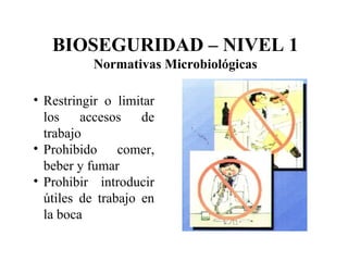 Restringir o limitar los accesos de trabajo Prohibido comer, beber y fumar Prohibir introducir útiles de trabajo en la boca BIOSEGURIDAD – NIVEL 1 Normativas Microbiológicas 