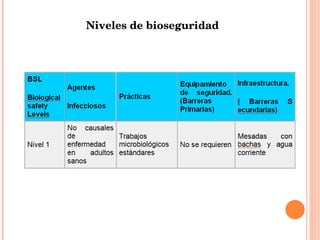 Niveles de bioseguridad 