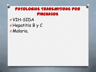 PATOLOGIAS TRANSMITIDAS POR
PINCHAZOS
O VIH-SIDA
O Hepatitis B y C
O Malaria.

 
