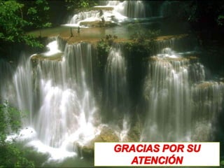 Normas de Bioseguridad