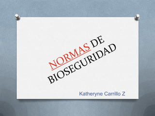 Katheryne Carrillo Z

 