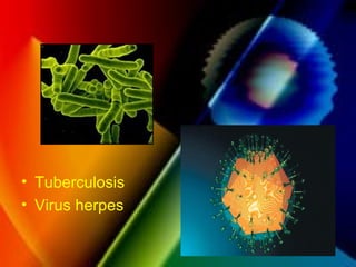 • Tuberculosis
• Virus herpes
 