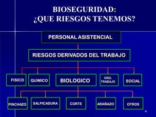 40
BIOSEGURIDAD:
¿QUE RIESGOS TENEMOS?
PERSONAL ASISTENCIAL
RIESGOS DERIVADOS DEL TRABAJO
FISICO QUIMICO BIOLOGICO
ORG.
TRABAJO SOCIAL
SALPICADURA
PINCHAZO CORTE ARAÑAZO OTROS
 