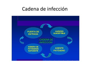 Cadena de infección
 