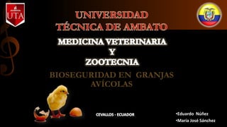 BIOSEGURIDAD EN GRANJAS
AVÍCOLAS
•Eduardo Núñez
•María José Sánchez
 