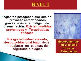  Agentes patógenos que suelen
provocar enfermedades
graves: existe el peligro de
diseminación. Existen medidas
preventivas y Terapéuticas
eficaces.
 Riesgo individual elevado,
riesgo poblacional bajo: deben
trabajarse en cabinas de
seguridad biológica
MycobacteriumMycobacterium
TuberculosisTuberculosis
BrucellaBrucella
HistoplasmaHistoplasma
 