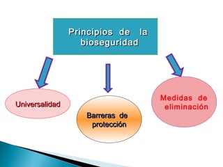  Principios de laPrincipios de la
bioseguridadbioseguridad
UniversalidadUniversalidad
Barreras deBarreras de
protecciónprotección
Medidas de
eliminación
 