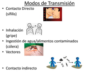 Modos de Transmisión
• Contacto Directo
(sífilis)
• Inhalación
(gripe)
• Ingestión de agua/alimentos contaminados
(cólera)
• Vectores
• Contacto indirecto
 