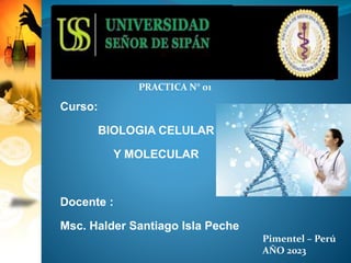 Curso:
BIOLOGIA CELULAR
Y MOLECULAR
Docente :
Msc. Halder Santiago Isla Peche
Pimentel – Perú
AÑO 2023
PRACTICA N° 01
 