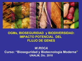 OGMs, BIOSEGURIDAD  y BIODIVERSIDAD: IMPACTO POTENCIAL  DEL  FLUJO DE GENES W.ROCA Curso: “Bioseguridad y Biotecnología Moderna ” UNALM, Dic. 2010 