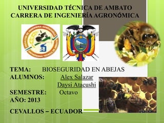 UNIVERSIDAD TÉCNICA DE AMBATO
CARRERA DE INGENIERÍA AGRONÓMICA

TEMA:
BIOSEGURIDAD EN ABEJAS
ALUMNOS:
Alex Salazar
Daysi Atacushi
SEMESTRE:
Octavo
AÑO: 2013
CEVALLOS – ECUADOR

 