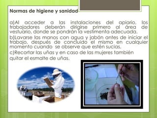 Normas de higiene y sanidad
a)Al acceder a las instalaciones del apiario, los
trabajadores deberán dirigirse primero al área de
vestuario, donde se pondrán la vestimenta adecuada.
b)Lavarse las manos con agua y jabón antes de iniciar el
trabajo, después de concluido el mismo en cualquier
momento cuando se observe que estén sucias.
c)Recortar las uñas y en caso de las mujeres también
quitar el esmalte de uñas.

 