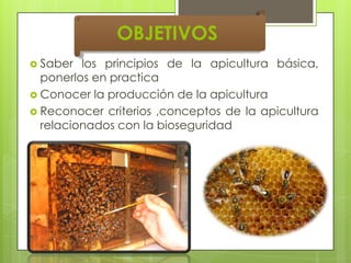 OBJETIVOS
 Saber

los principios de la apicultura básica,
ponerlos en practica
 Conocer la producción de la apicultura
 Reconocer criterios ,conceptos de la apicultura
relacionados con la bioseguridad

 