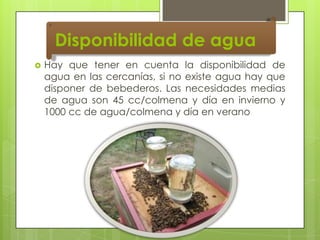 Disponibilidad de agua


Hay que tener en cuenta la disponibilidad de
agua en las cercanías, si no existe agua hay que
disponer de bebederos. Las necesidades medias
de agua son 45 cc/colmena y día en invierno y
1000 cc de agua/colmena y día en verano

 