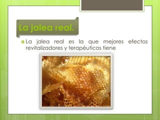 La jalea real.
 La

jalea real es la que mejores efectos
revitalizadores y terapéuticos tiene

 