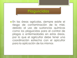 Plaguicidas
 En

las áreas agrícolas, siempre existe el
riesgo de contaminación de la miel,
debido al uso de sustancias químicas
como los plaguicidas para el control de
plagas o enfermedades en estas áreas,
por lo que el agricultor debe tener una
coordinación estrecha con el apicultor
para la aplicación de los mismos

 