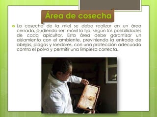 Área de cosecha


La cosecha de la miel se debe realizar en un área
cerrada, pudiendo ser: móvil lo fijo, según las posibilidades
de cada apicultor. Esta área debe garantizar un
aislamiento con el ambiente, previniendo la entrada de
abejas, plagas y roedores, con una protección adecuada
contra el polvo y permitir una limpieza correcta.

 