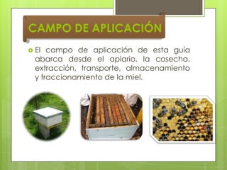 CAMPO DE APLICACIÓN
 El

campo de aplicación de esta guía
abarca desde el apiario, la cosecha,
extracción, transporte, almacenamiento
y fraccionamiento de la miel.

 