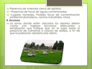 Presencia de viviendas cerca de apiarios
 −Presencia de focos de aguas contaminadas.
 −Lugares húmedos. Posibles focos de contaminación
ambiental (botaderos, centros industriales, otros)
4. Accesos
 La zonas donde estén ubicados los apiarios deben
contar con ingresos (accesos) adecuados y
señalización que indique que en el lugar existe la
presencia de colmenas o crianza de abejas, a fin de
que la población aledaña este alerta.


 