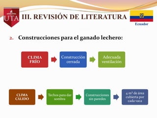 III. REVISIÓN DE LITERATURA
2. Construcciones para el ganado lechero:

CLIMA
FRÍO

CLIMA
CÁLIDO

Construcción
cerrada

Techos para dar
sombra

Adecuada
ventilación

Construcciones
sin paredes

4 m² de área
cubierta por
cada vaca

 