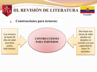 III. REVISIÓN DE LITERATURA
3.

Construcciones para terneros:

Los terneros
de hasta 60
días de edad
necesitan
jaulas
individuales.

CONTRUCCIONES
PARA TERNEROS

Dos hasta seis
meses de edad
pueden ser
alojados en
corrales con una
capacidad de
hasta 10
animales.

 