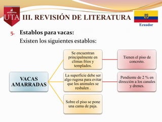 III. REVISIÓN DE LITERATURA
5. Establos para vacas:

Existen los siguientes establos:
Se encuentran
principalmente en
climas fríos y
templados.

VACAS
AMARRADAS

Tienen el piso de
concreto.

La superficie debe ser
algo rugosa para evitar
que los animales se
resbalen .

Pendiente de 2 % en
dirección a los canales
y drenes.

Sobre el piso se pone
una cama de paja.

 