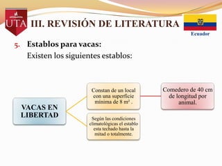 III. REVISIÓN DE LITERATURA
5. Establos para vacas:

Existen los siguientes establos:

VACAS EN
LIBERTAD

Constan de un local
con una superficie
mínima de 8 m² .
Según las condiciones
climatológicas el establo
esta techado hasta la
mitad o totalmente.

Comedero de 40 cm
de longitud por
animal.

 