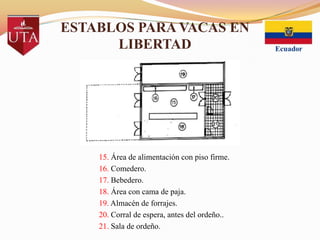 ESTABLOS PARA VACAS EN
LIBERTAD

15. Área de alimentación con piso firme.
16. Comedero.
17. Bebedero.
18. Área con cama de paja.
19. Almacén de forrajes.
20. Corral de espera, antes del ordeño..
21. Sala de ordeño.

 