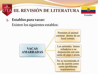 III. REVISIÓN DE LITERATURA
5. Establos para vacas:

Existen los siguientes establos:
Permiten al animal
caminar dentro de un
local común.

VACAS
AMARRADAS

Los animales tienen
echaderos a su
disposición con una
cama de paja o arena.
No se recomienda el
uso de aserrín como
cama (problemas
respiratorios).

 