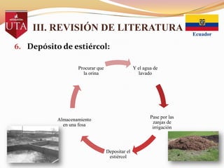III. REVISIÓN DE LITERATURA
6. Depósito de estiércol:
Procurar que
la orina

Y el agua de
lavado

Pase por las
zanjas de
irrigación

Almacenamiento
en una fosa

Depositar el
estiércol

 