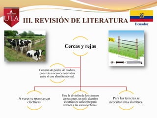 III. REVISIÓN DE LITERATURA

Cercas y rejas

Constan de postes de madera,
concreto o acero, conectados
entre sí con alambre normal.

A veces se usan cercas
eléctricas.

Para la división de los campos
de pastoreo, un sólo alambre
eléctrico es suficiente para
retener a las vacas lecheras.

Para las terneras se
necesitan más alambres.

 