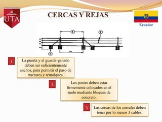 CERCAS Y REJAS

1

La puerta y el guarda-ganado
deben ser suficientemente
anchos, para permitir el paso de
tractores y remolques.
2

Los postes deben estar
firmemente colocados en el
suelo mediante bloques de
concreto.
3

Las cercas de los corrales deben
tener por lo menos 3 cables.

 