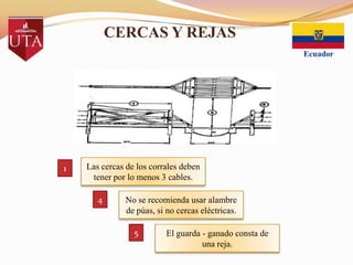 CERCAS Y REJAS

1

Las cercas de los corrales deben
tener por lo menos 3 cables.
4

No se recomienda usar alambre
de púas, si no cercas eléctricas.
5

El guarda - ganado consta de
una reja.

 
