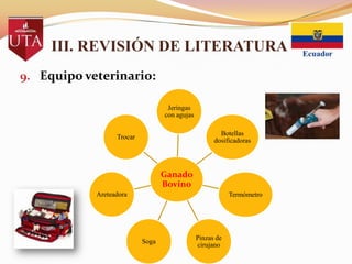 III. REVISIÓN DE LITERATURA
9. Equipo veterinario:
Jeringas
con agujas
Botellas
dosificadoras

Trocar

Ganado
Bovino
Areteadora

Termómetro

Soga

Pinzas de
cirujano

 