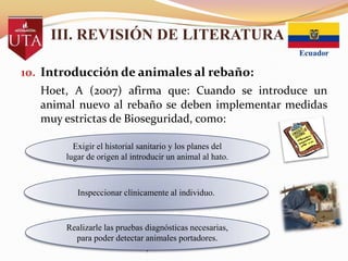 III. REVISIÓN DE LITERATURA
10. Introducción de animales al rebaño:
Hoet, A (2007) afirma que: Cuando se introduce un
animal nuevo al rebaño se deben implementar medidas
muy estrictas de Bioseguridad, como:
Exigir el historial sanitario y los planes del
lugar de origen al introducir un animal al hato.

Inspeccionar clínicamente al individuo.

Realizarle las pruebas diagnósticas necesarias,
para poder detectar animales portadores.
.

 