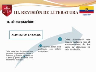 III. REVISIÓN DE LITERATURA
11. Alimentación:

ALIMENTOS EN SACOS

Debe tener piso de cemento que
garantice la protección contra la
humedad, y tarimas separadas de
la pared y que no permitan sacos
de alimento en el piso.

Las ventanas deben estar
protegidas con cedazo
mosquitero.

Debe mantenerse una
bodega exclusiva para el
almacenamiento de los
sacos de alimentos en
cada instalación.

 