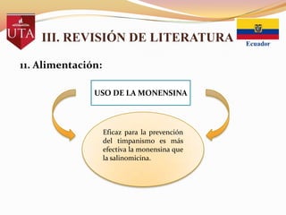 III. REVISIÓN DE LITERATURA
11. Alimentación:
USO DE LA MONENSINA

Eficaz para la prevención
del timpanismo es más
efectiva la monensina que
la salinomicina.

 