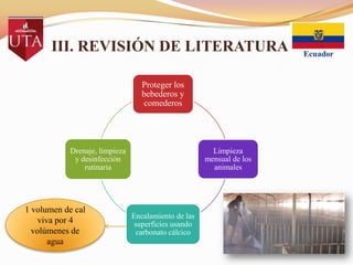 III. REVISIÓN DE LITERATURA
Proteger los
bebederos y
comederos

Drenaje, limpieza
y desinfección
rutinaria

1 volumen de cal
viva por 4
volúmenes de
agua

Limpieza
mensual de los
animales

Encalamiento de las
superficies usando
carbonato cálcico

 