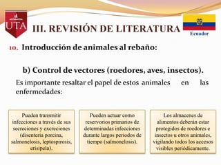 III. REVISIÓN DE LITERATURA
10. Introducción de animales al rebaño:

b) Control de vectores (roedores, aves, insectos).
Es importante resaltar el papel de estos animales
enfermedades:
Pueden transmitir
infecciones a través de sus
secreciones y excreciones
(disenteria porcina,
salmonelosis, leptospirosis,
erisipela).

Pueden actuar como
reservorios primarios de
determinadas infecciones
durante largos periodos de
tiempo (salmonelosis).

en

las

Los almacenes de
alimentos deberán estar
protegidos de roedores e
insectos u otros animales,
vigilando todos los accesos
visibles periódicamente.

 
