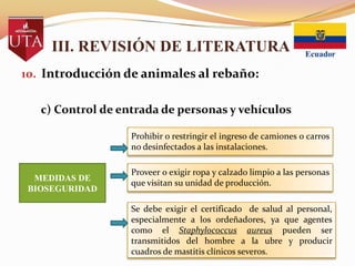 III. REVISIÓN DE LITERATURA
10. Introducción de animales al rebaño:
c) Control de entrada de personas y vehículos
Prohibir o restringir el ingreso de camiones o carros
no desinfectados a las instalaciones.

MEDIDAS DE
BIOSEGURIDAD

Proveer o exigir ropa y calzado limpio a las personas
que visitan su unidad de producción.
Se debe exigir el certificado de salud al personal,
especialmente a los ordeñadores, ya que agentes
como el Staphylococcus aureus pueden ser
transmitidos del hombre a la ubre y producir
cuadros de mastitis clínicos severos.

 