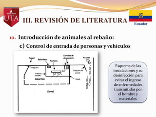 III. REVISIÓN DE LITERATURA
10. Introducción de animales al rebaño:

c) Control de entrada de personas y vehículos
Esquema de las
instalaciones y su
desinfección para
evitar el ingreso
de enfermedades
transmitidas por
el hombre y
materiales

 