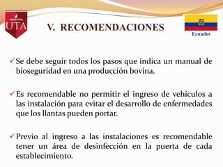 V. RECOMENDACIONES
 Se debe seguir todos los pasos que indica un manual de

bioseguridad en una producción bovina.
 Es recomendable no permitir el ingreso de vehículos a

las instalación para evitar el desarrollo de enfermedades
que los llantas pueden portar.
 Previo al ingreso a las instalaciones es recomendable

tener un área de desinfección en la puerta de cada
establecimiento.

 