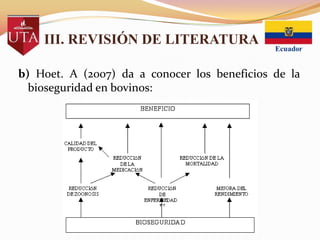 III. REVISIÓN DE LITERATURA
b) Hoet. A (2007) da a conocer los beneficios de la
bioseguridad en bovinos:

 