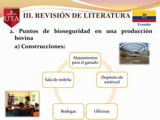 III. REVISIÓN DE LITERATURA
2. Puntos de bioseguridad en una producción
bovina
a) Construcciones:
Alojamientos
para el ganado

Sala de ordeña

Bodegas

Depósito de
estiércol

Oficinas

 