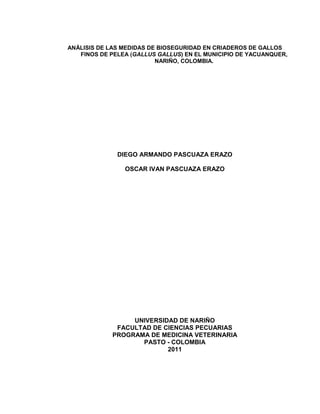 ANÁLISIS DE LAS MEDIDAS DE BIOSEGURIDAD EN CRIADEROS DE GALLOS
FINOS DE PELEA (GALLUS GALLUS) EN EL MUNICIPIO DE YACUANQUER,
NARIÑO, COLOMBIA.
DIEGO ARMANDO PASCUAZA ERAZO
OSCAR IVAN PASCUAZA ERAZO
UNIVERSIDAD DE NARIÑO
FACULTAD DE CIENCIAS PECUARIAS
PROGRAMA DE MEDICINA VETERINARIA
PASTO - COLOMBIA
2011
 