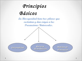 Principios
        Básicos
       La Bioseguridad tiene tres pilares que
           sustentan y dan origen a las
            Precauciones Universales.




                       Barreras           Medidas de
Universalidad
                     de protección
                                          eliminación
 